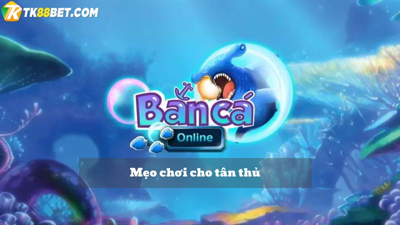 Kinh nghiệm chơi bắn cá online TK88