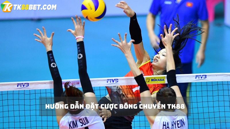 Cách cá cược bóng chuyền TK88