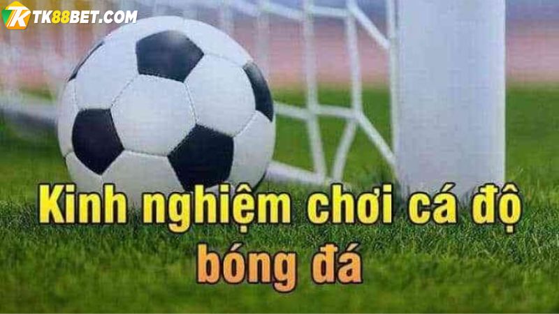 Kinh nghiệm cá cược bóng đá