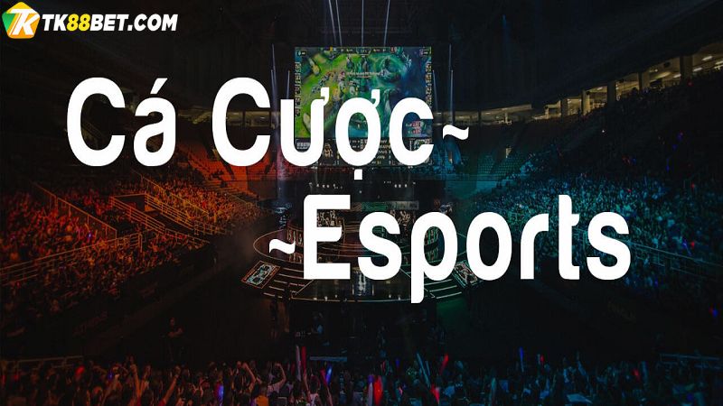 Cá cược Esport TK88 là gì?