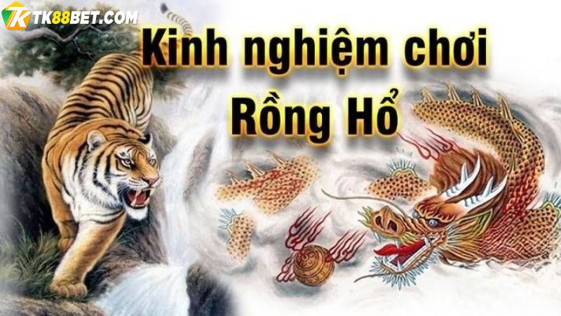 Kinh nghiệm chơi Rồng Hổ TK88