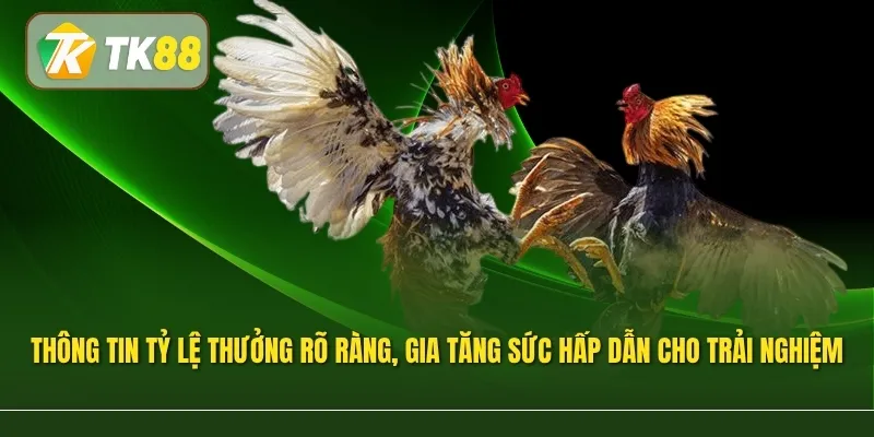 Thông tin tỷ lệ thưởng rõ ràng, gia tăng sức hấp dẫn cho trải nghiệm