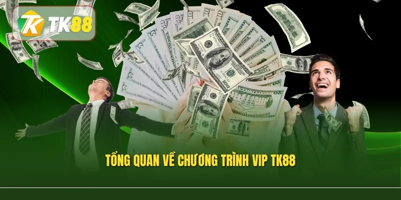 Tổng quan về chương trình VIP TK88